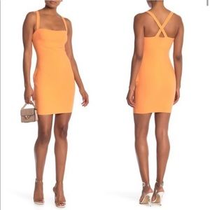 NWT Likely Nahia dress- sz 2